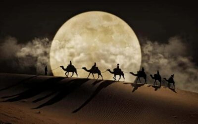 Night Desert Safari, Stargazing, Dune Driving &Inland