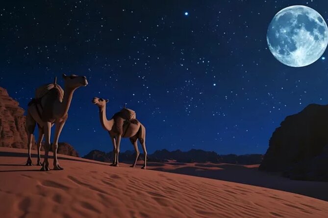 Doha Night Desert Safari, Stargazing, Photography، Relaxation - Booking details worth checking before you go