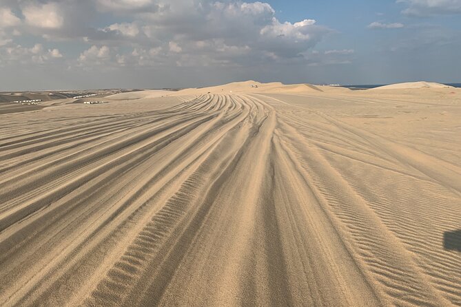 Doha : Night Desert Safari | Transit Safari | Camel ride | Dune Bashing - Choosing between day, sunset, and night