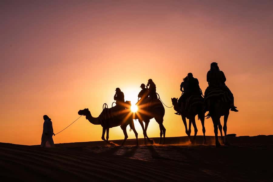 Doha: Night Desert Safari with Camel Ride and Sandboarding - From Doha to Qatar’s open desert