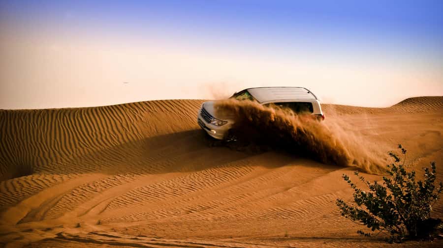 Doha: Night Desert Safari with Camel Ride and Sandboarding - Forty minutes of dune bashing