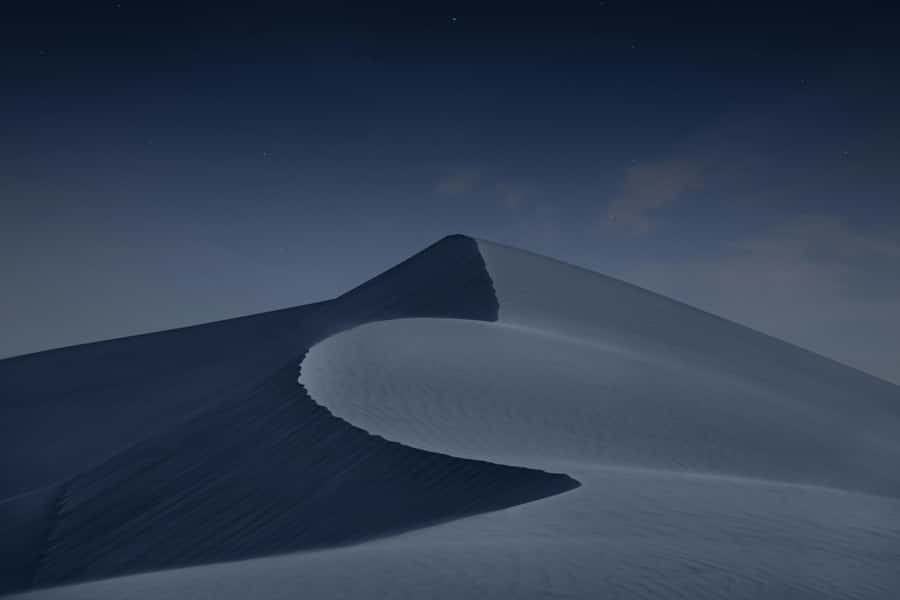 Doha: Night Desert Safari with Camel Ride and Sandboarding - Should you book it?