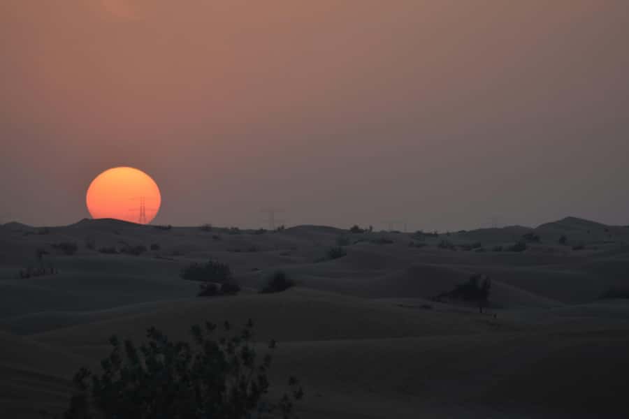 Doha: Night Desert Safari with Camel Ride and Sandboarding - Camel time near the Inland Sea