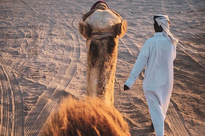 Doha-Night Desert Safari with Sand Board and Camel Ride - Key points to know before booking