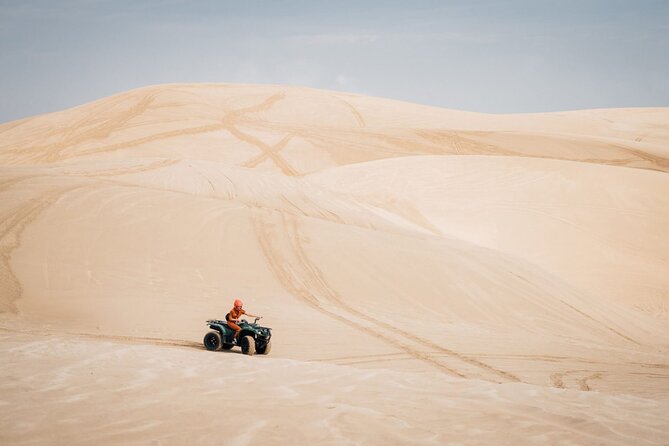 Doha-Night Desert Safari with Sand Board and Camel Ride - Is $80 a fair price?