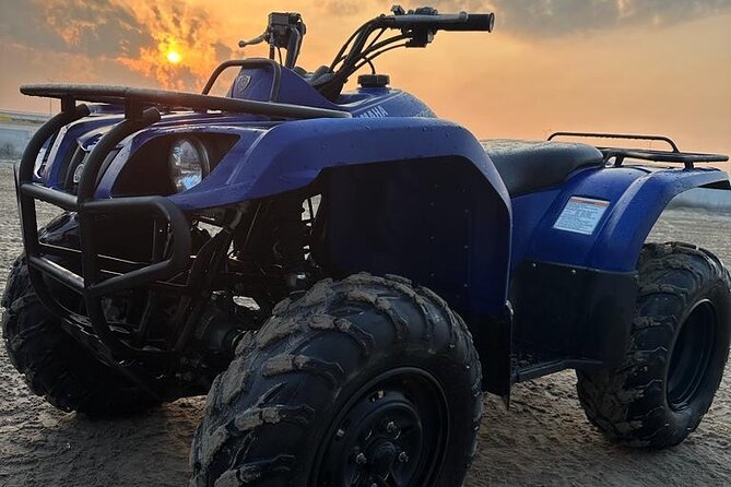 Doha-Night Desert Safari with Sand Board and Camel Ride - Dune bashing over the soft sand