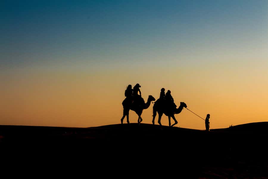 Doha: Night Desert Safari With Stargazing and Inland Sea - Key points at a glance