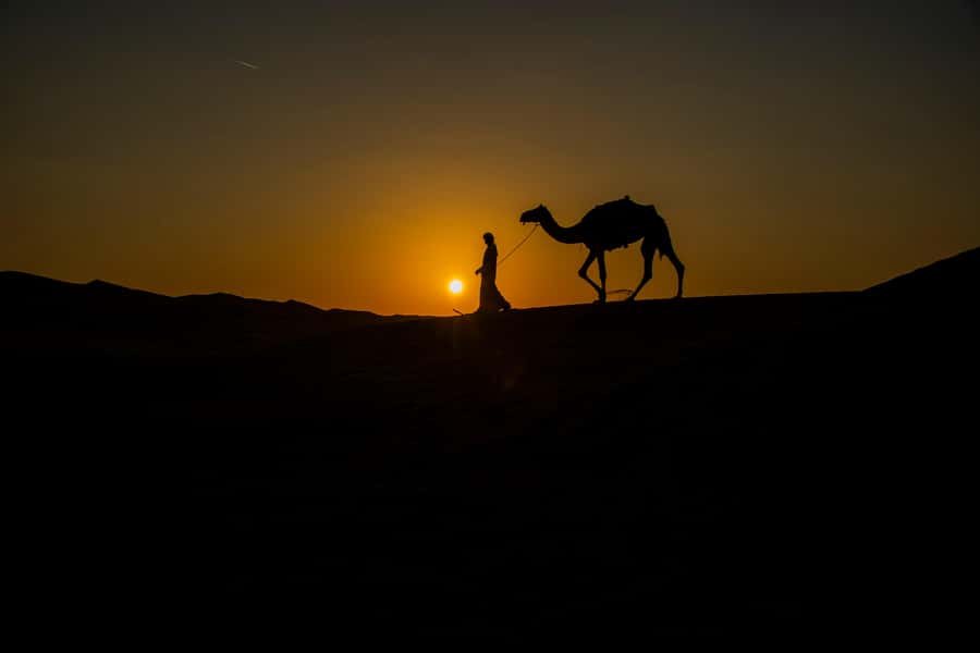 Doha: Night Desert Safari With Stargazing and Inland Sea - From Doha to Sealine, where the desert begins