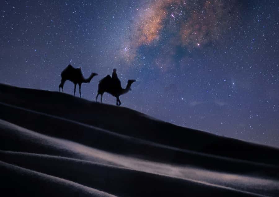 Doha: Night Desert Safari with Stargazing & Camel Ride - The Inland Sea, where sand meets water