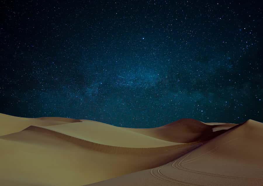 Doha: Night Desert Safari with Stargazing & Camel Ride - What the guides add to the experience