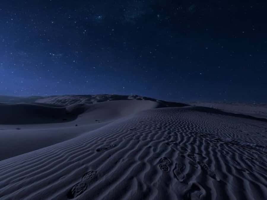 Doha: Night Desert Safari with Stargazing & Camel Ride - A short camel ride with tea at the camp