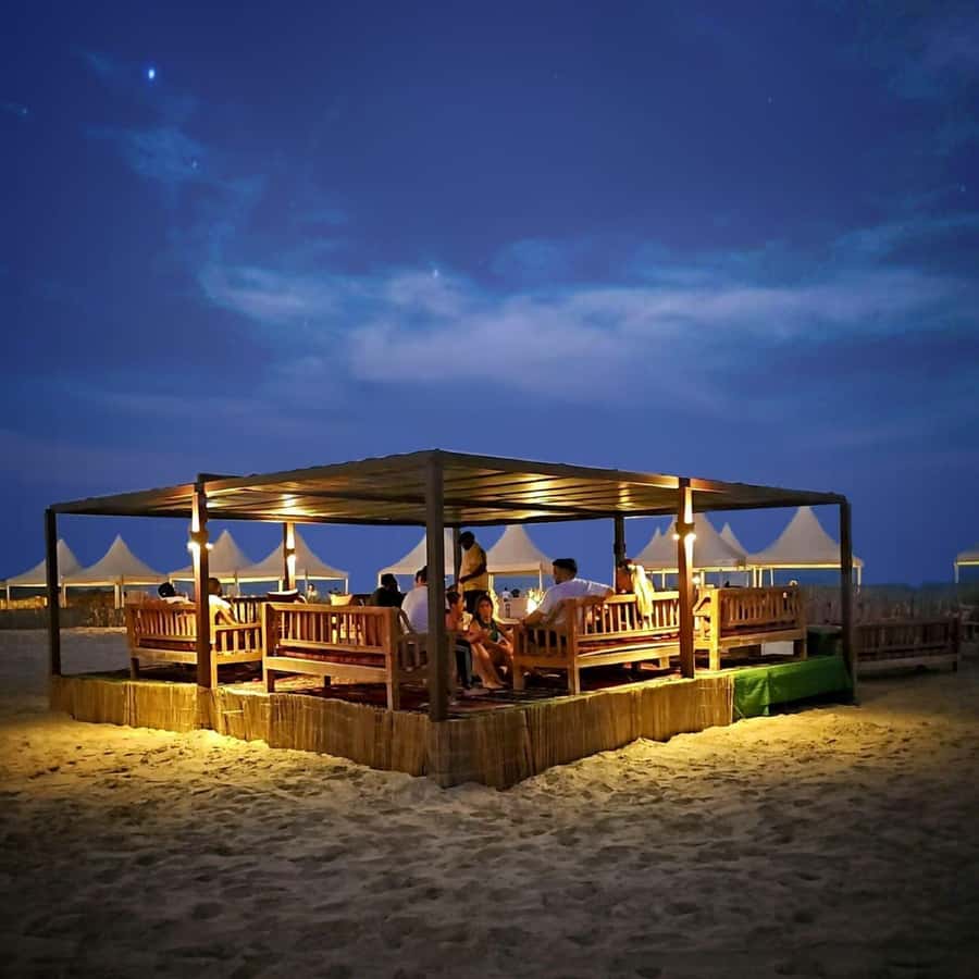 Doha: Night DesertSafari DuneBashing Sandboarding CamelRide - Moonlit photos in the open desert