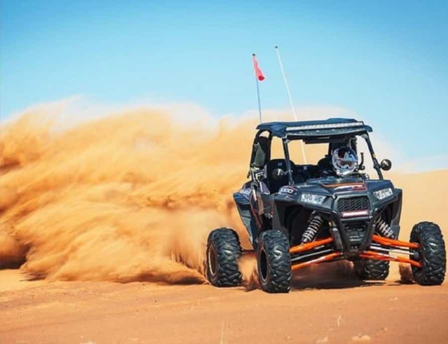 Doha: Night Inland Sea Desert Safari with Full Activities - Who should choose this night safari?