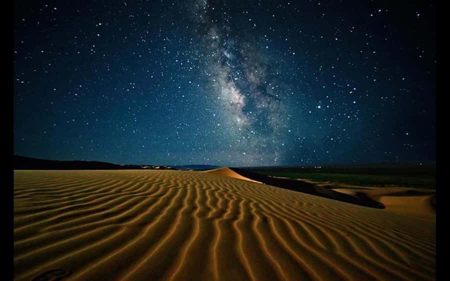 Doha: Night Safari with Dune Bashing and Camel Ride - Is $55 a fair price?