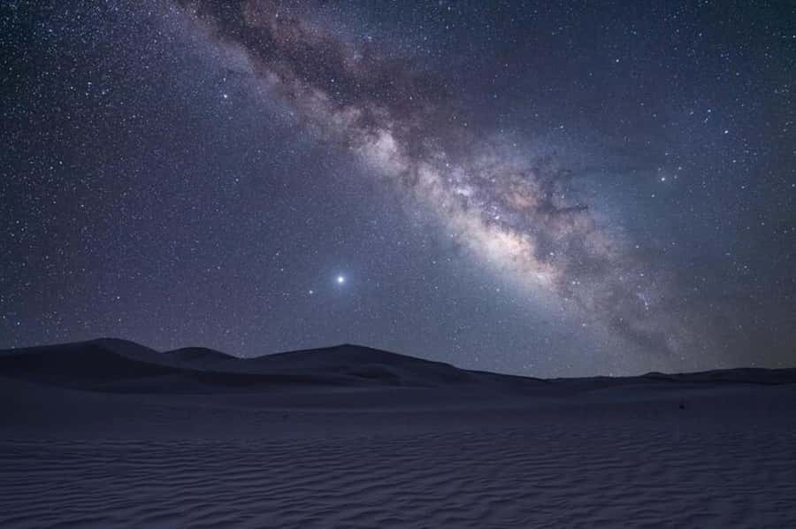 Doha: Night Safari with Dune Bashing and Camel Ride - Who should book this desert safari?