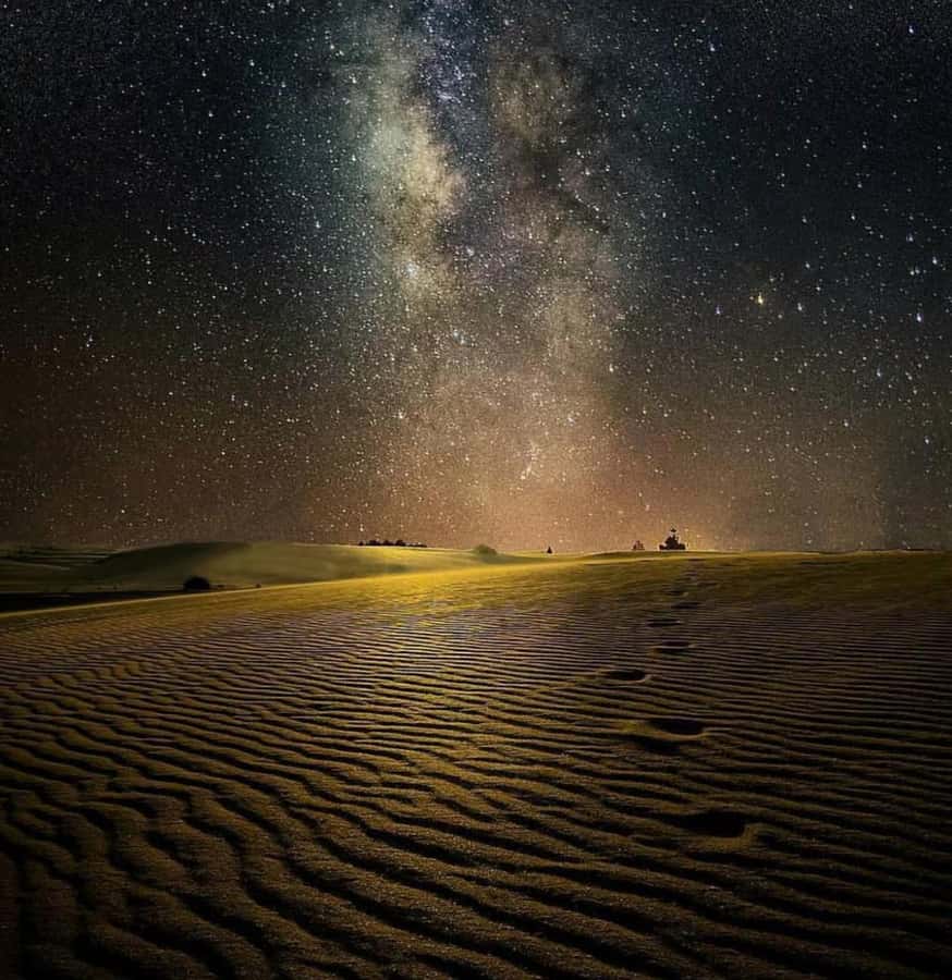 Doha: Night Safari with Dune Bashing and Camel Ride - Dune bashing after sunset begins