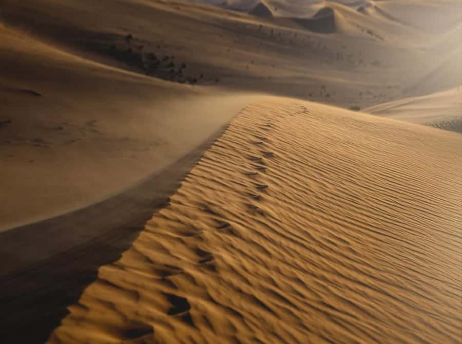 Doha: Nighttime Desert Safari with Dune Bashing & Camel Ride - The guides can shape the whole evening