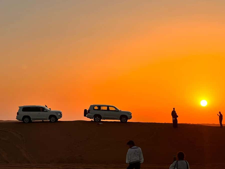 Doha: Nighttime Desert Safari with Dune Bashing & Camel Ride - Khor Al Udaid and the Inland Sea