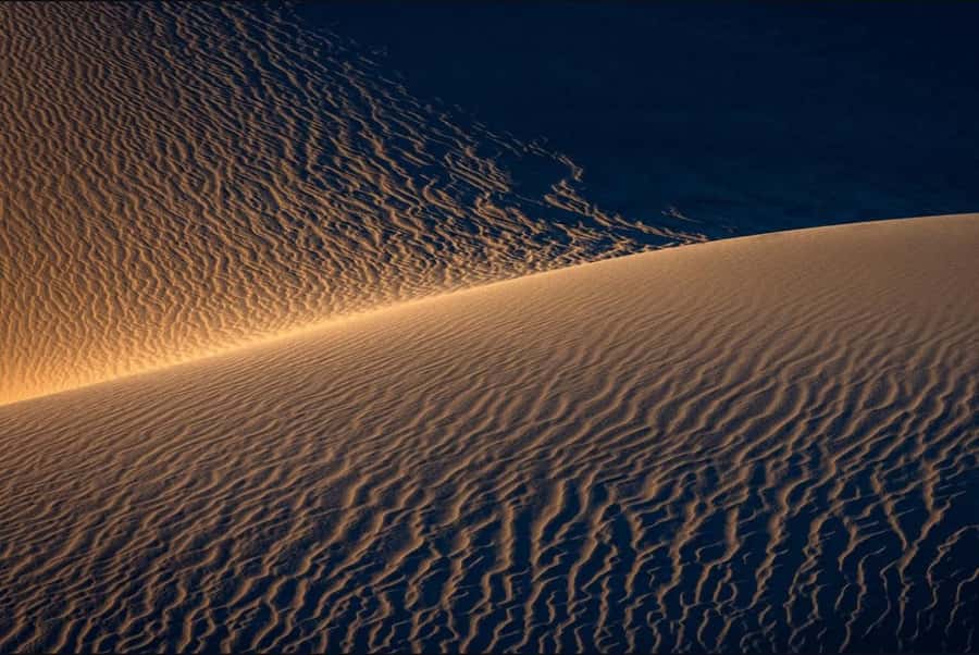 Doha: Nighttime Desert Safari with Dune Bashing & Camel Ride - What $24 really gets you