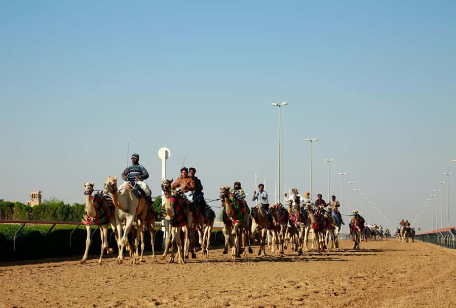 Doha: North and West of Qatar Private Combo Tour - Mushroom Rock and Qatar’s wind-shaped desert