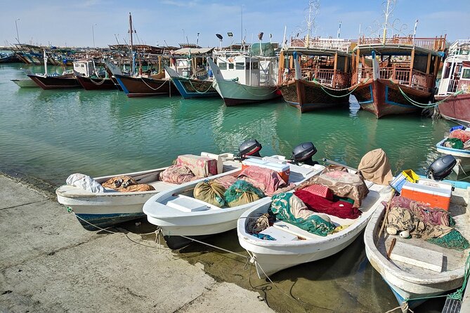 Doha North Tour Zubara Fort Jumail Village Purple Island - Purple Island, mangroves, and an older industry