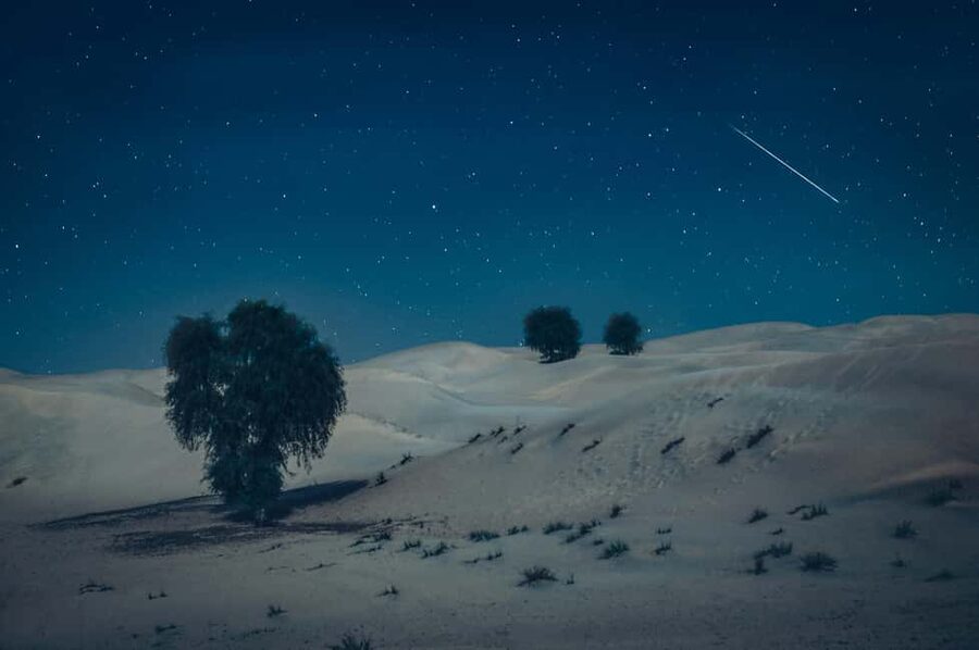 Doha: Overnight Desert Safari with Dinner and Breakfast - Who will enjoy this overnight safari