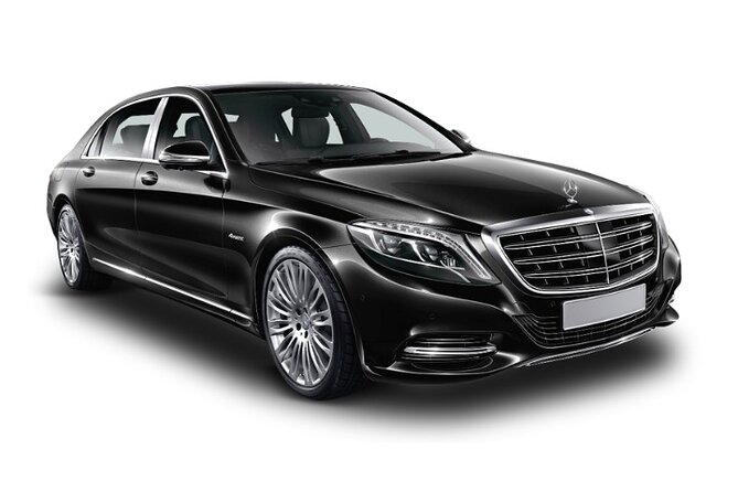 Doha Private Airport and City Transfers - Who should book this Doha transfer?