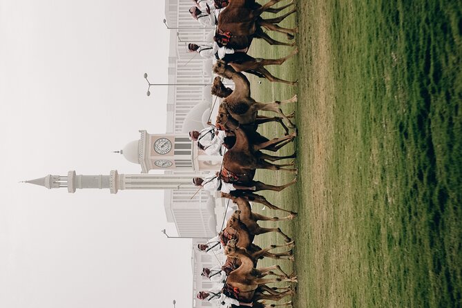 Doha: Private City Tour - Is $65 per person good value?