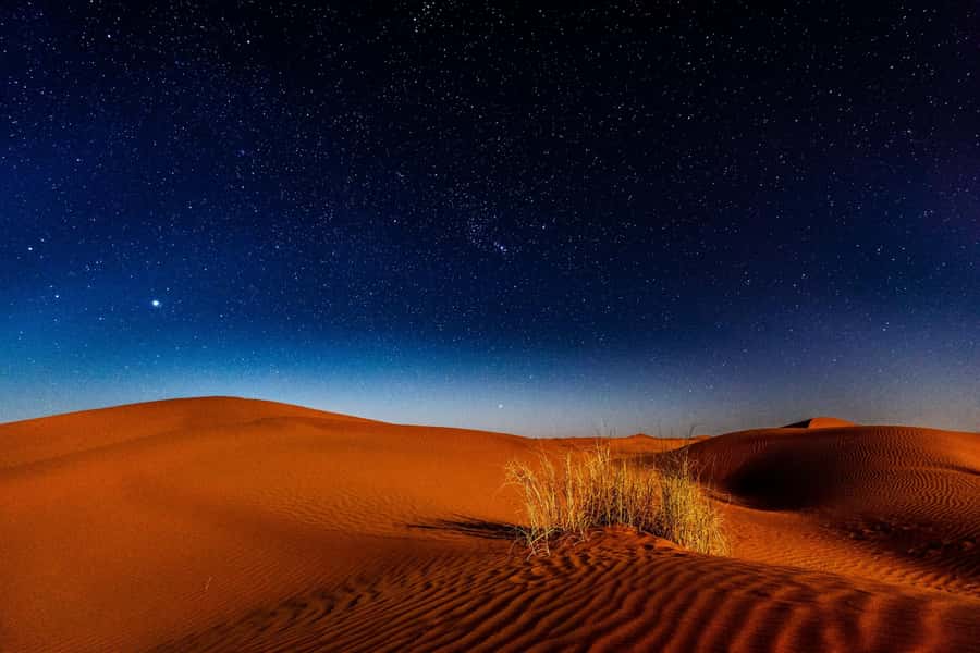 Doha: Private Desert Safari at Night with Stargazing - Key points to know before booking
