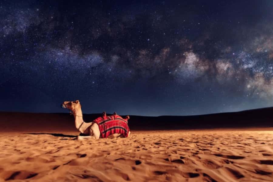 Doha: Private Desert Safari at Night with Stargazing - The 45-minute night ride across the dunes