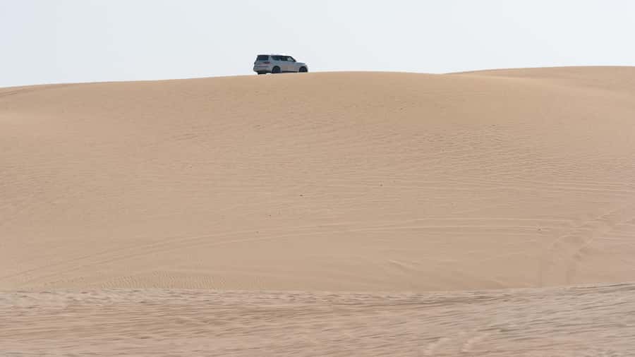 Doha:Private Desert Safari, Falcon, Sandboarding,inland sea - Key points to know before you book