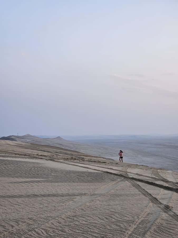 Doha:Private Desert Safari, Falcon, Sandboarding,inland sea - The Inland Sea, where sand meets water