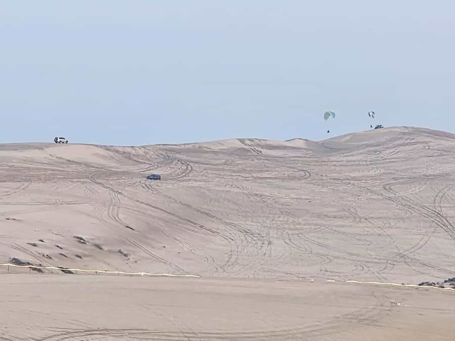 Doha:Private Desert Safari, Falcon, Sandboarding,inland sea - Guides, driving style, and the private advantage