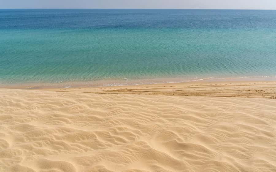 Doha Private Desert Safari, inland sea, sand boarding - Sandboarding on the Sealine dunes