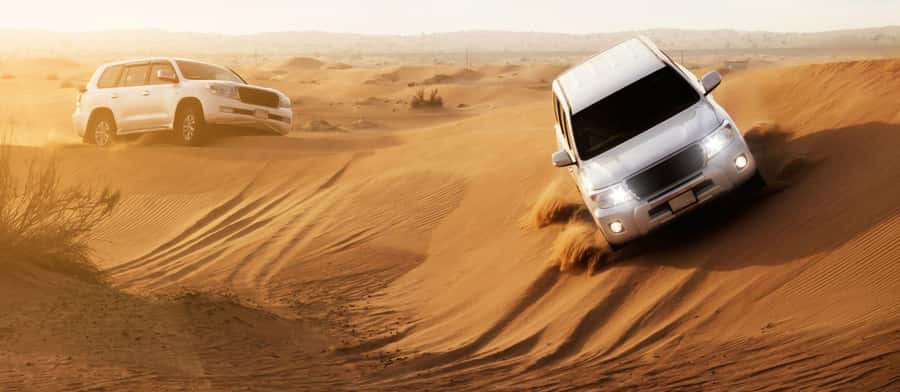 Doha : Private Desert Safari With Camel Ride & Sand Boarding - Sealine Beach Resort sets the scene