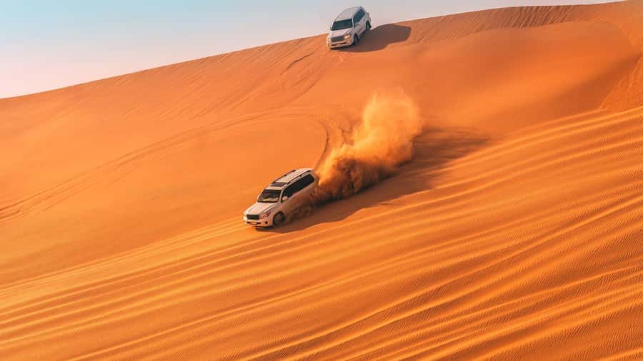Doha : Private Desert Safari With Camel Ride & Sand Boarding - The private format suits some visitors better than others