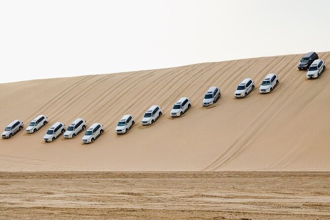 Doha: Private Half Day Desert Safari Tour in Qatar - Who will enjoy this half-day safari