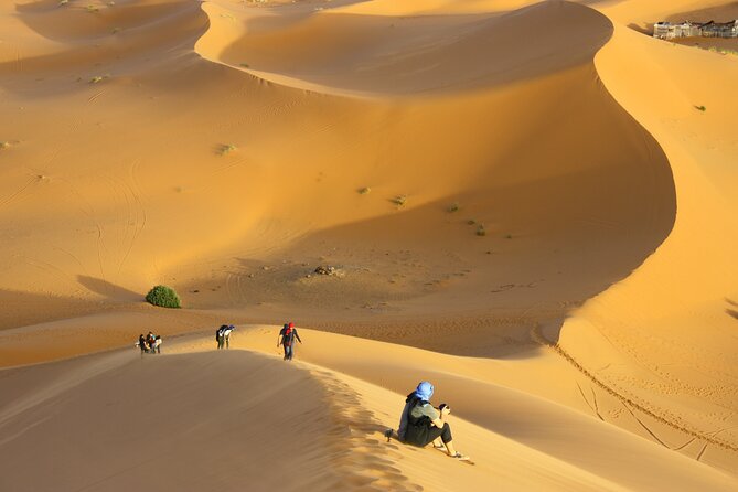 Doha Private Half-Day Guided Desert Safari Tour - Leaving Doha for Sealine Beach