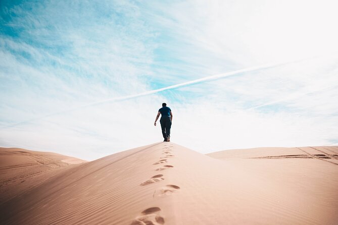Doha Private Half-Day Guided Desert Safari Tour - How the private format affects the experience