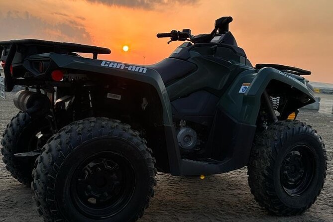 Doha-Private half day safari Sunrise/Sunset - What the $85 price really covers