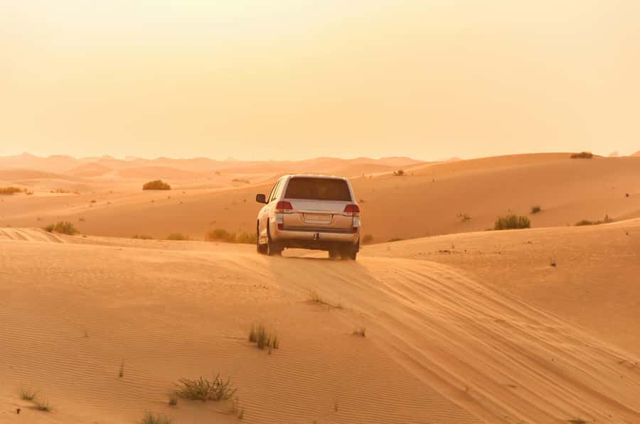 Doha: Private NIGHT desert safari with free camel ride - Three scenic stops for photographs