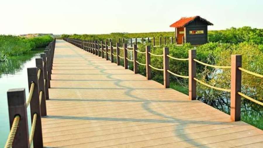 Doha : Private North of Qatar Tour, Zubara Fort & Mangroves - Al Zubara Fort and Qatar’s archaeological north