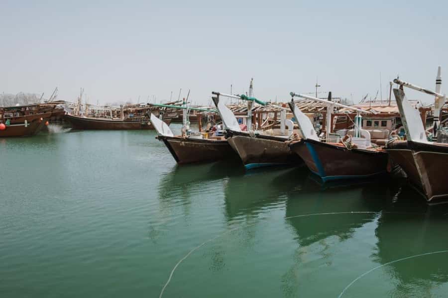 Doha : Private North of Qatar Tour, Zubara Fort & Mangroves - Al Jumail, an abandoned village by the coast