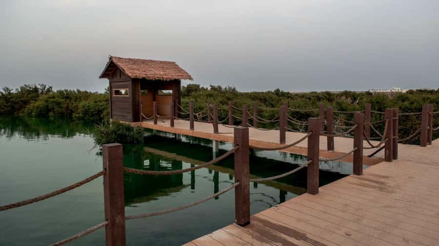 Doha : Private North of Qatar Tour, Zubara Fort & Mangroves - What the five-hour schedule feels like