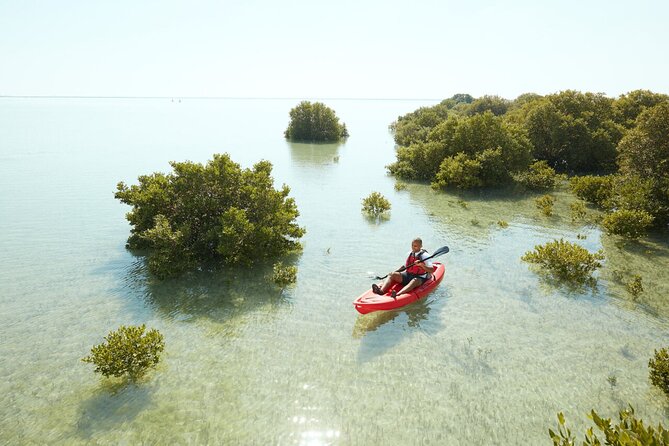 Doha Private North Qatar Tour, Mangroves and Al Zubarah Fort - What the private format adds