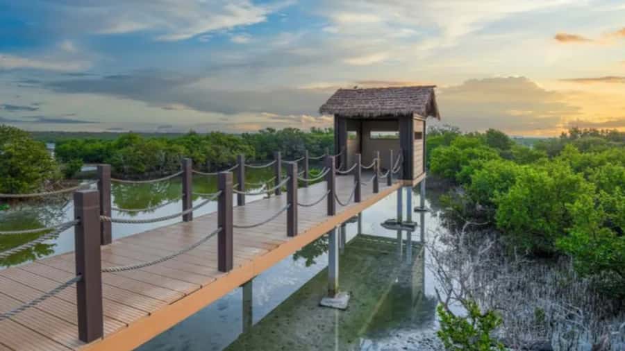 Doha: Private North Qatar Tour, Mangroves, & Zubara Fort - Purple Island’s quiet shoreline