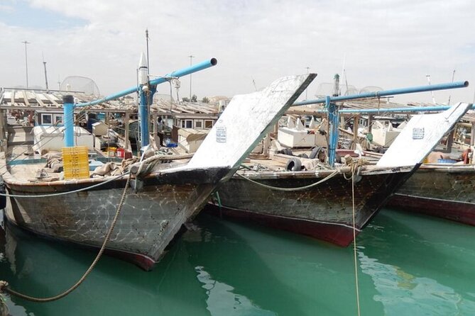 Doha Private North Tour Zubara Fort Purple Island & Mangrove - Is $69.30 good value?