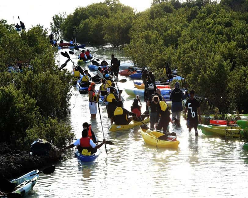 Doha: Private Purple Island Mangroves Kayaking Adventure - Booking details that matter