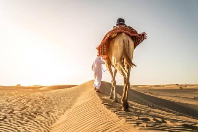 Doha Qatar ATV Quad Bike Buggy Desert Adventure and Camel Ride - Tea and camels in the middle of the outing