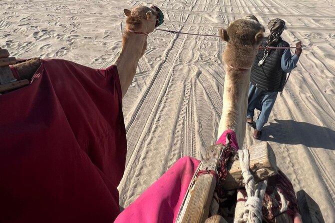 Doha Qatar ATV Quad Bike Buggy Dune Bashing and Camel Ride - The Inland Sea and Qatar’s best desert views